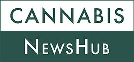 Cannabis NewsHub